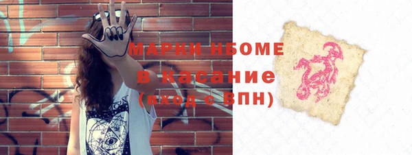 МДПВ Снежинск