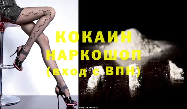 СК Сосновый Бор